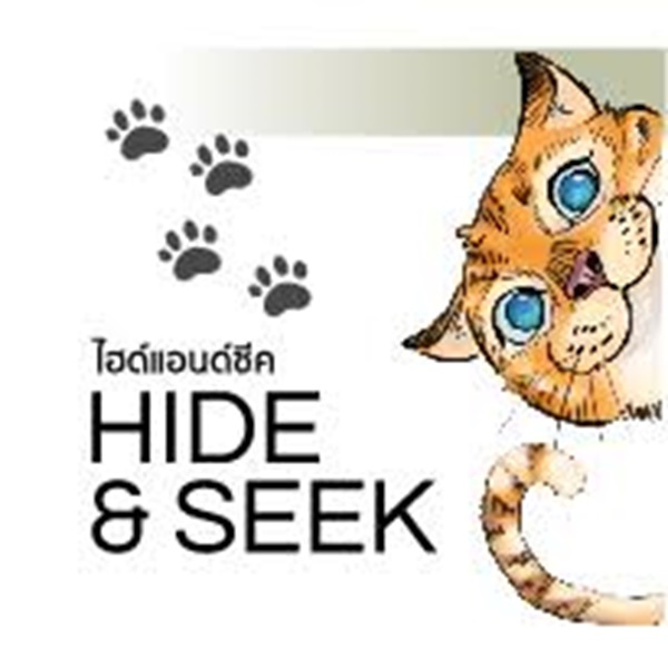 Brand: Hide & Seek