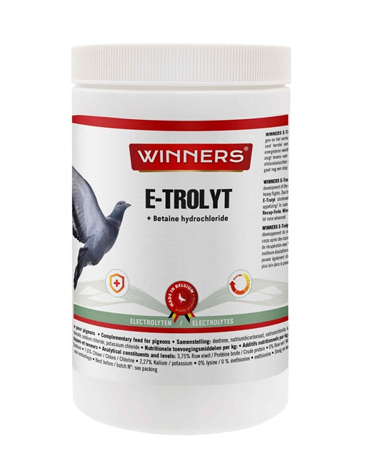 Winners E-Trolyt (700 g)