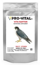 Provital Vita Raptor Multivitamins